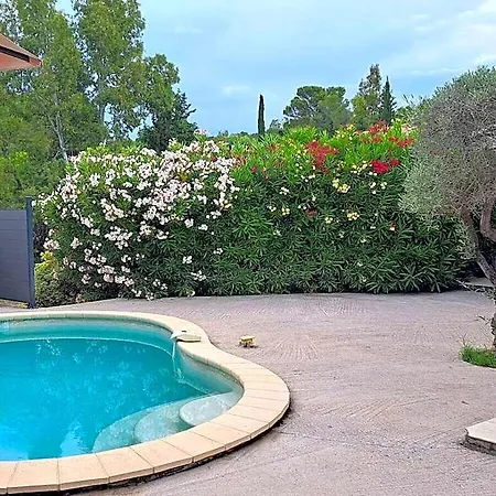 Esterel Comfortable Hotel